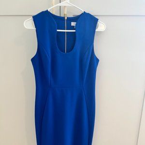 Royal Blue Calvin Klein Dress